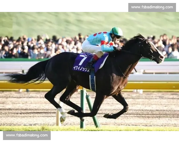 去年今日,32.5 秒定江山!Do Deuce 卫冕秋季天皇赏 去年今日,32.5 秒定江山!Do Deuce 卫冕秋季天皇赏